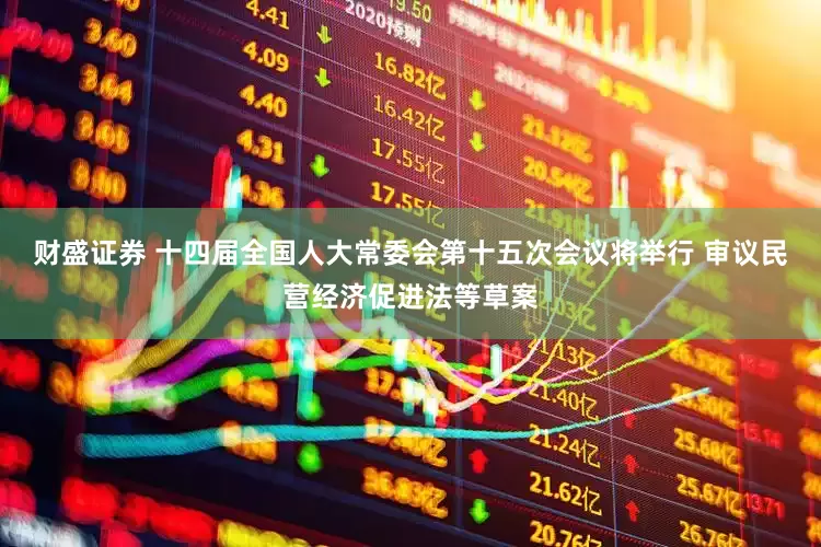 财盛证券 十四届全国人大常委会第十五次会议将举行 审议民营经济促进法等草案