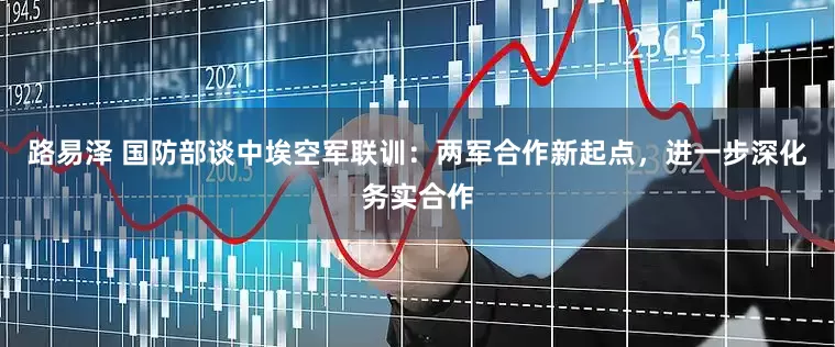 路易泽 国防部谈中埃空军联训：两军合作新起点，进一步深化务实合作