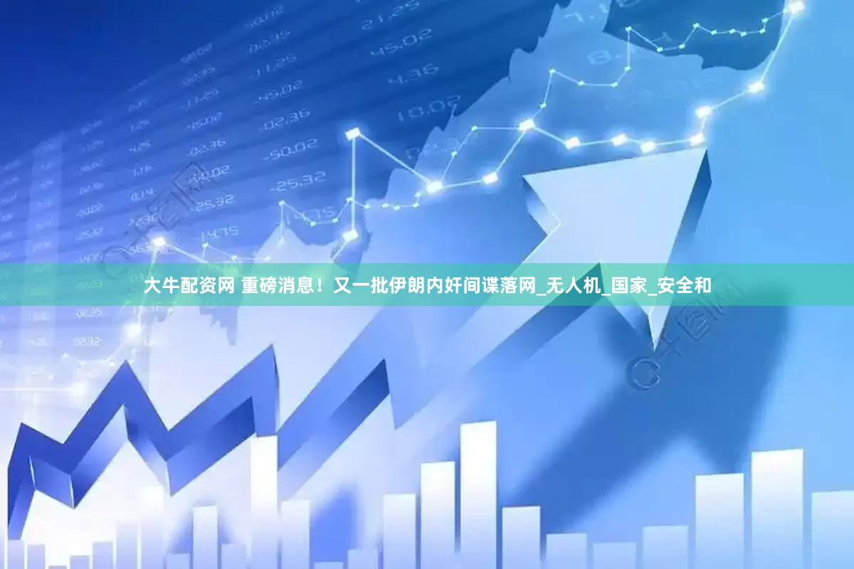 大牛配资网 重磅消息！又一批伊朗内奸间谍落网_无人机_国家_安全和