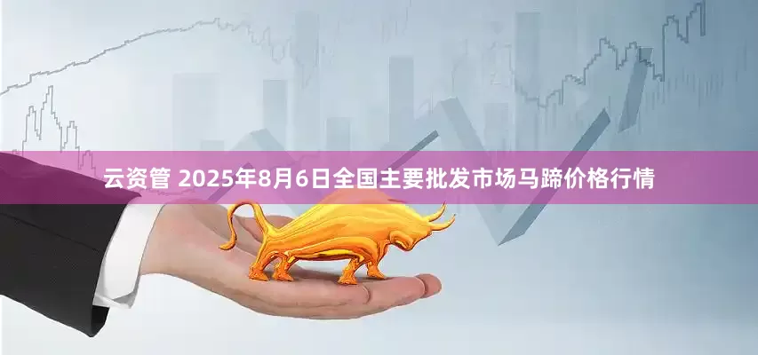 云资管 2025年8月6日全国主要批发市场马蹄价格行情